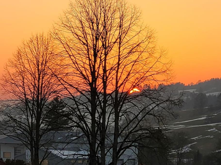 La Jolie Parenthese Lägenhet Longevilles-Mont-dʼOr Exteriör bild
